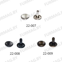 Хольнитены двухсторонние