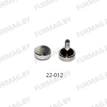 Хольнитены двухсторонние