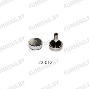 Хольнитены двухсторонние