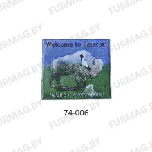 Магнит зубр